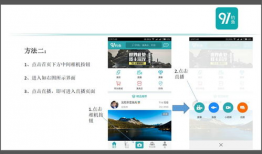 91路亚垂钓的直播间,揭秘钓鱼技巧与激情瞬间